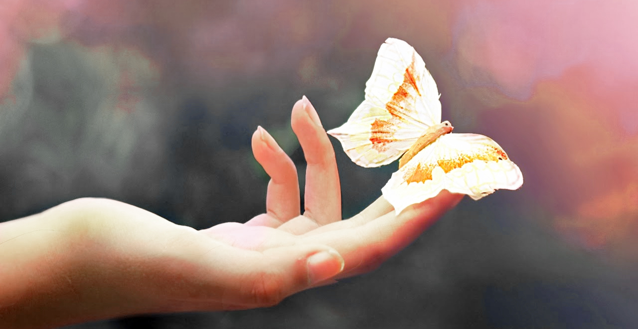 “Let go!”