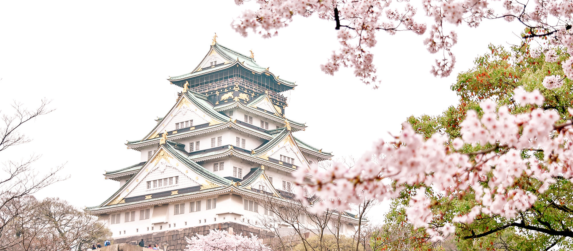Spring in Osaka, Kyoto and Nara (Part 2 of Japan Trip)